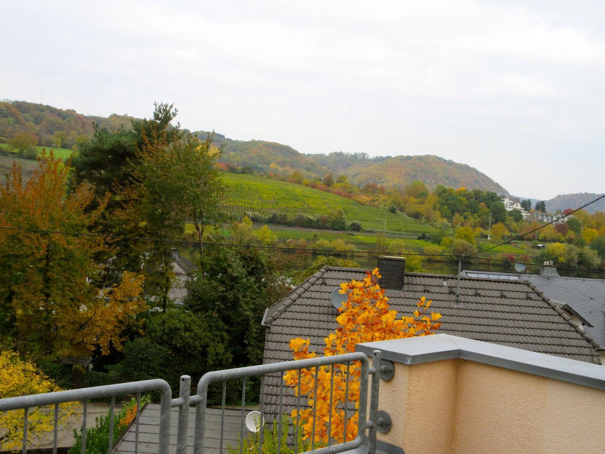 Moselschoen Das Ferienhaus Brodenbach Kamer foto