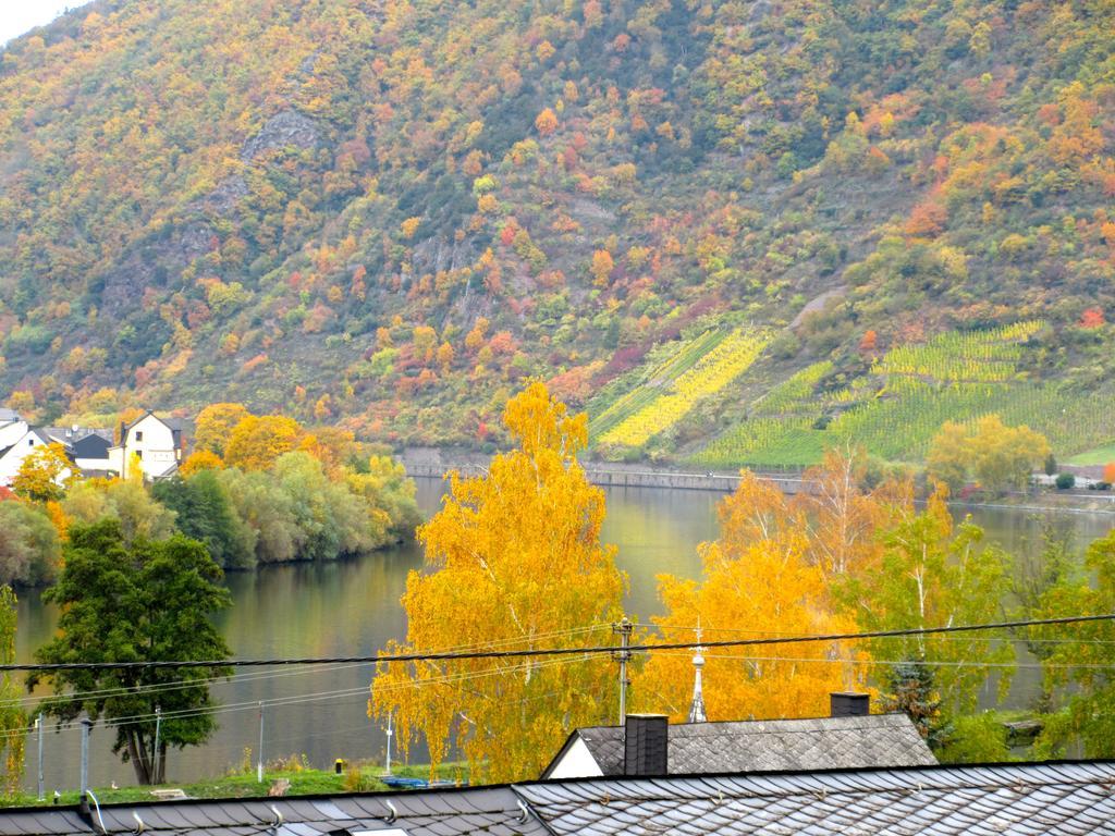 Moselschoen Das Ferienhaus Brodenbach Kamer foto